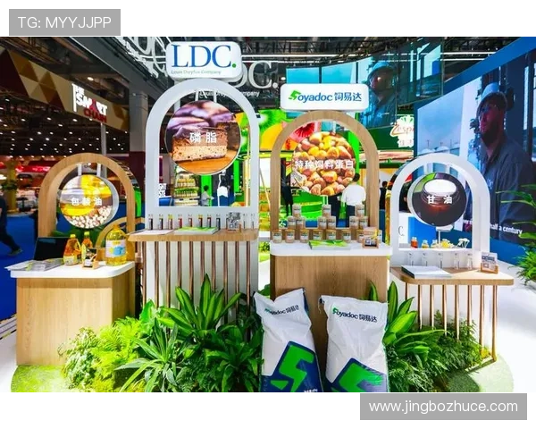 盛世平台开户:多元化产品满足不同投资需求 盛世平台开户:多元化产品满足不同投资需求