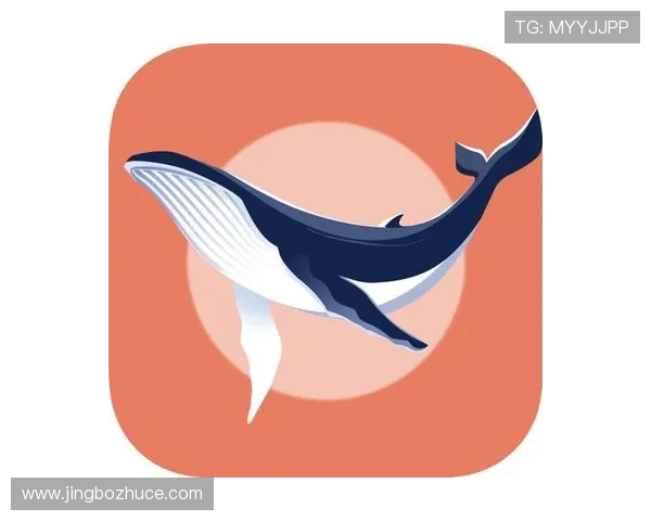 蓝鲸官方下载正式上线，用户可以便捷获取最新版本软件资源