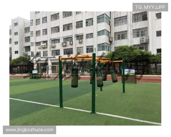 顶盛体育入口的最新动态与用户体验分享